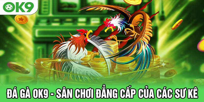 Sân chơi Đá gà OK9 - Nơi hội tụ của những Sư Kê top đầu VN