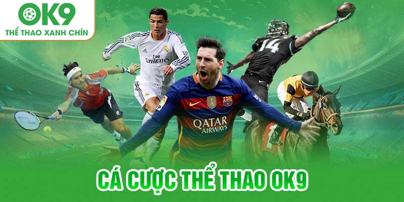 Sảnh cá cược Thể thao OK9